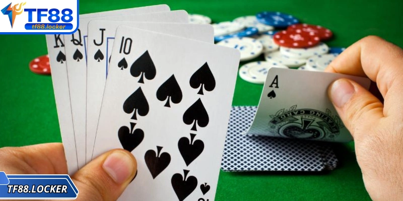 Xì tố tại TF88 – Trải nghiệm đỉnh cao cho mọi tân thủ 3 Kinh nghiệm để chơi game xì tố hiệu quả tại TF88